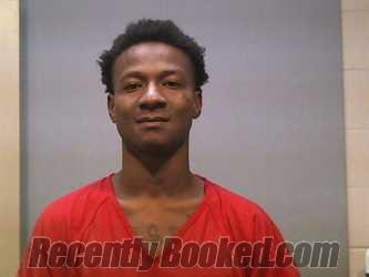 Recent Mugshot Image for  JOHNSON in Marengo County, Alabama