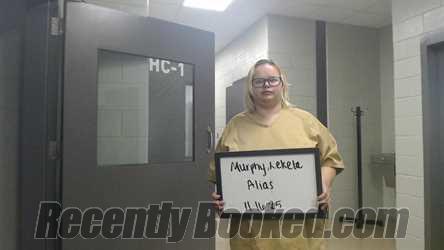 Recent Mugshot Image for LAKETA MURPHY in Marion County, Alabama