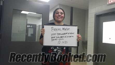 Recent Mugshot Image for KHYLEE BROOKS in Marion County, Alabama