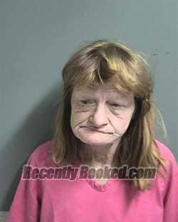 Recent Mugshot Image for SHANNON LYNN RODEN HOPKINS in Marshall County, Alabama