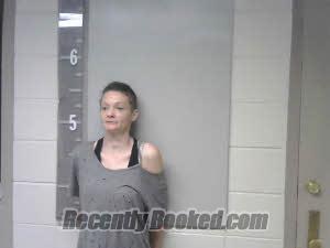 Recent Booking / Mugshot for CINDY BRYAN in Marshall County, Alabama