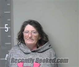 Recent Mugshot Image for TAMMIE JOY MADDOX in Marshall County, Alabama