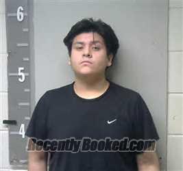 Recent Mugshot Image for JOSUE HERNANDEZ in Marshall County, Alabama