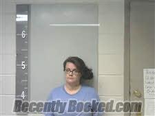 Recent Mugshot Image for AMANDA LEE SEARS in Marshall County, Alabama
