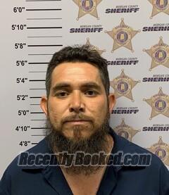 Recent Booking / Mugshot for ANGEL G JASSO in Morgan County, Alabama