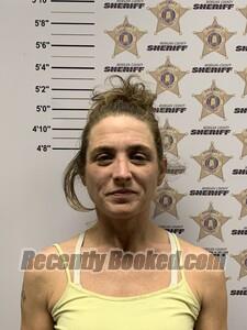 Recent Mugshot Image for AMANDA MAE COLLIER in Morgan County, Alabama