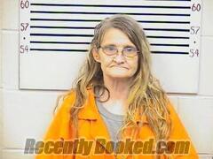 Recent Mugshot Image for LISA WHITE in Pickens County, Alabama