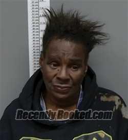 Recent Mugshot Image for Barbara Ann Phifer in Randolph County, Alabama
