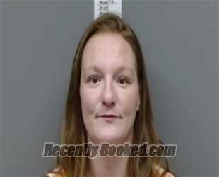 Recent Mugshot Image for Melissa Ann Langley in Randolph County, Alabama