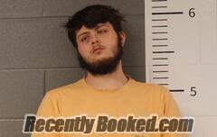 Recent Mugshot Image for LOGAN ELKINS in St Clair County, Alabama