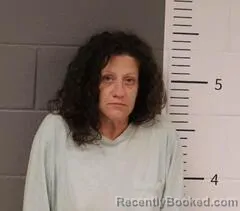 Recent Mugshot Image for CECILIA MCDANIEL in St Clair County, Alabama