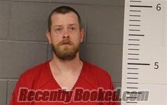 Recent Mugshot Image for JAMES WATKINS in St Clair County, Alabama