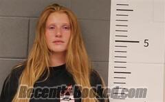 Recent Mugshot Image for ELIZABETH WILLIAMS in St Clair County, Alabama