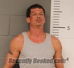 Recent Mugshot Image for JAMES LANE in St Clair County, Alabama
