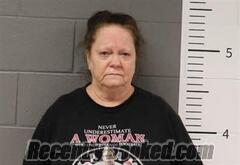 Recent Mugshot Image for MARY JOHNSON in St Clair County, Alabama