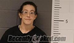 Recent Mugshot Image for TOBI ASHBY in St Clair County, Alabama