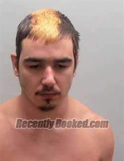 Recent Mugshot Image for AARON THOMAS PEARSON in Talladega County, Alabama