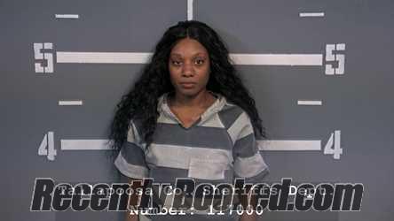 Recent Mugshot Image for TANISHA NICOLE BARNES in Tallapoosa County, Alabama