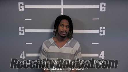 Recent Mugshot Image for DELON MATRAY HERRON in Tallapoosa County, Alabama