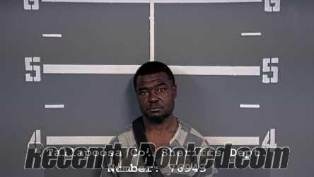 Recent Mugshot Image for DEQUETRIK JARDEZ WILSON in Tallapoosa County, Alabama
