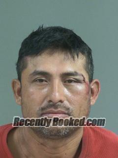 Recent Mugshot Image for MAGDALENO RAMOS-FERNANDEZ in Charleston County, South Carolina