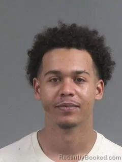 Recent Mugshot Image for DASAN TYLER HIGGINS in Charleston County, South Carolina