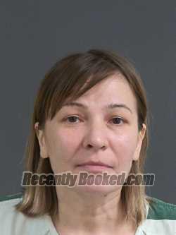 Recent Booking / Mugshot for ANNA MOROZOVA in Charleston County, South