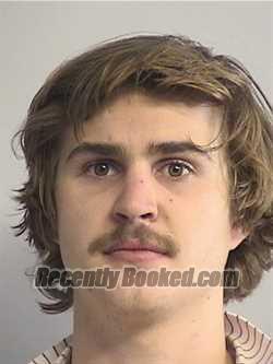 Recent Mugshot Image for  Alves in Tuscaloosa County, Alabama