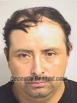 Recent Mugshot Image for  Felix in Tuscaloosa County, Alabama