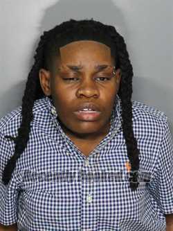 Recent Mugshot Image for DESTINY D SHA JONES in Charlotte County, Florida