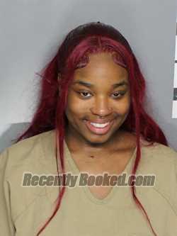 Recent Mugshot Image for GENESIS DEJANEK WESLEY in Charlotte County, Florida