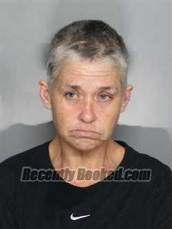 Recent Mugshot Image for BRANDI LYNN DRAKE in Charlotte County, Florida