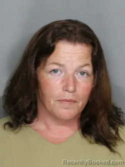 Recent Mugshot Image for CARRIE SUE WELLS in Charlotte County, Florida
