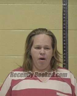 Recent Mugshot Image for CHARLENE ROXANNE COBBS in Bossier Parish, Louisiana
