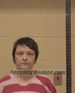 Recent Mugshot Image for DELANIE MACHELLE SHELTON in Bossier Parish, Louisiana