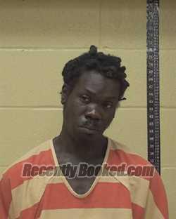 Recent Mugshot Image for TROY LEARTHUR PACE in Bossier Parish, Louisiana