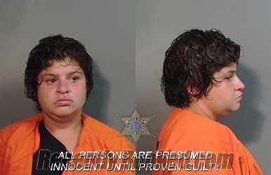 Recent Mugshot Image for Rainey Rose Martinez in Caddo Parish, Louisiana