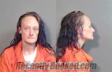 Recent Mugshot Image for Leigh Anne Colvin in Caddo Parish, Louisiana