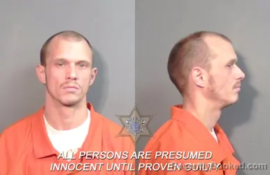 Recent Mugshot Image for Shannon Delray Feroben in Caddo Parish, Louisiana