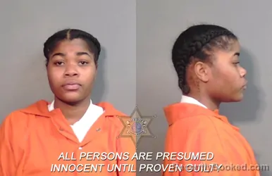 Recent Mugshot Image for Erykah Leshay Hunter in Caddo Parish, Louisiana