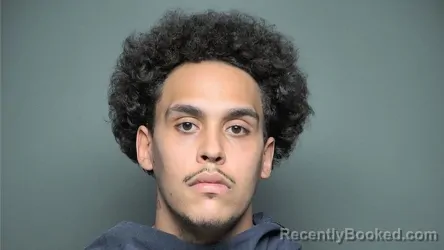 Recent Mugshot Image for NATHAN LASHAUN HARBOUR in Chester County, South Carolina