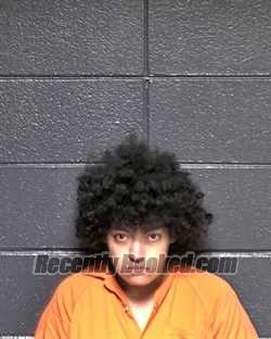 Recent Mugshot Image for KAILEY MARIE SANDERS in DeSoto Parish, Louisiana