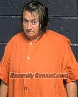 Recent Mugshot Image for TAMMY DENISE HUNKINS in DeSoto Parish, Louisiana