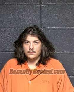 Recent Mugshot Image for DILLAN KYLE GARRETT in DeSoto Parish, Louisiana