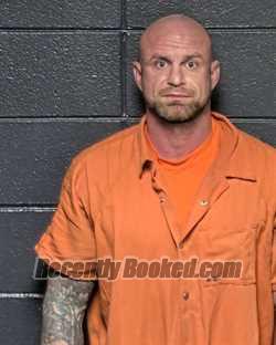 Recent Mugshot Image for AARON MATTHEW YOUNG in DeSoto Parish, Louisiana