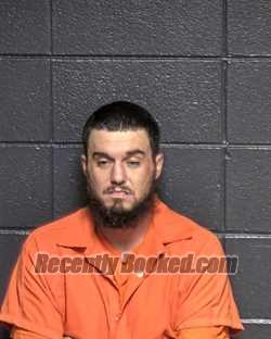 Recent Mugshot Image for SEAN TYLER WHITE in DeSoto Parish, Louisiana