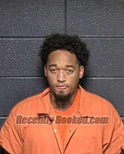 Recent Mugshot Image for MICHAEL TRAHAN in DeSoto Parish, Louisiana