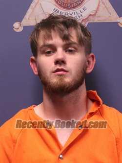 Recent Mugshot Image for LOGAN WARNKE in Iberville Parish, Louisiana