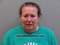 Recent Booking / Mugshot for AMY MICHELLE MANN in Chesterfield County ...