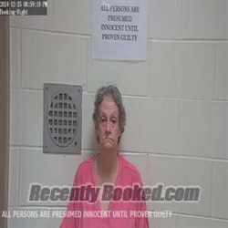 Recent Booking / Mugshot for CHERRY ELAINE WELLS in Lincoln Parish